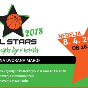 ALL STAR Divje lige