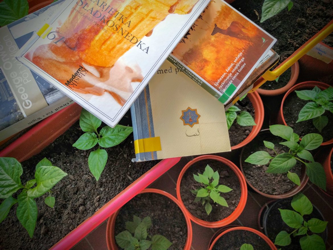 Pička bere: poletno čtivo