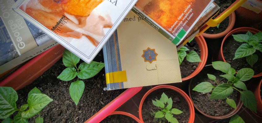 Pička bere: poletno čtivo