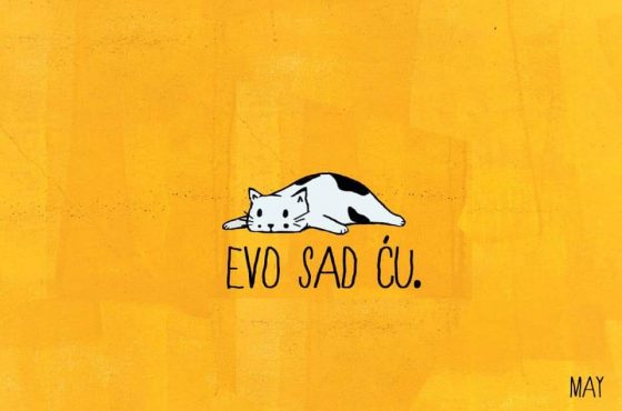 O zabluzenju društva