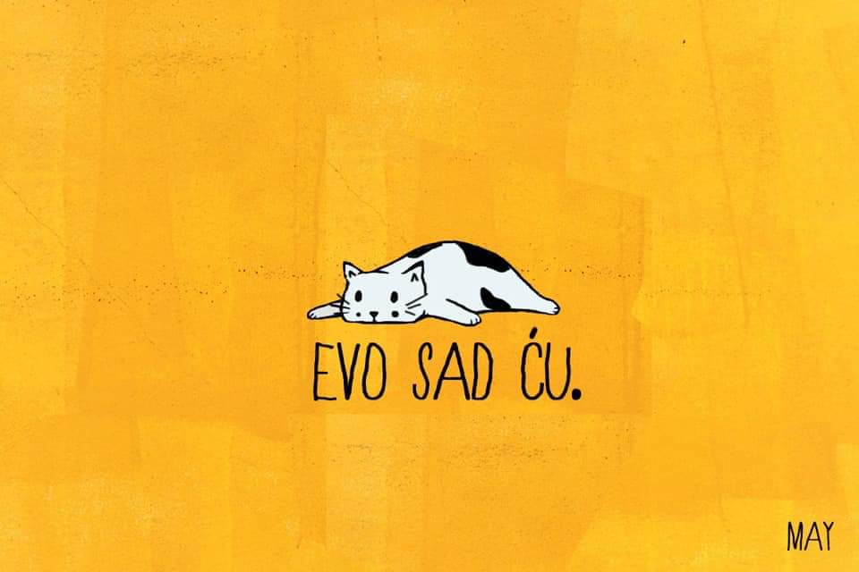 O zabluzenju društva